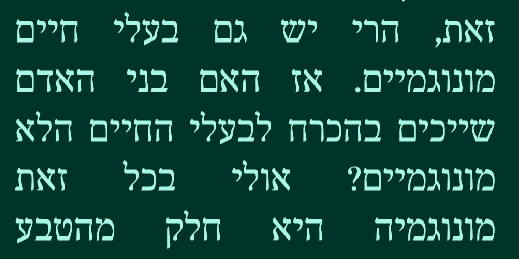 13.png
