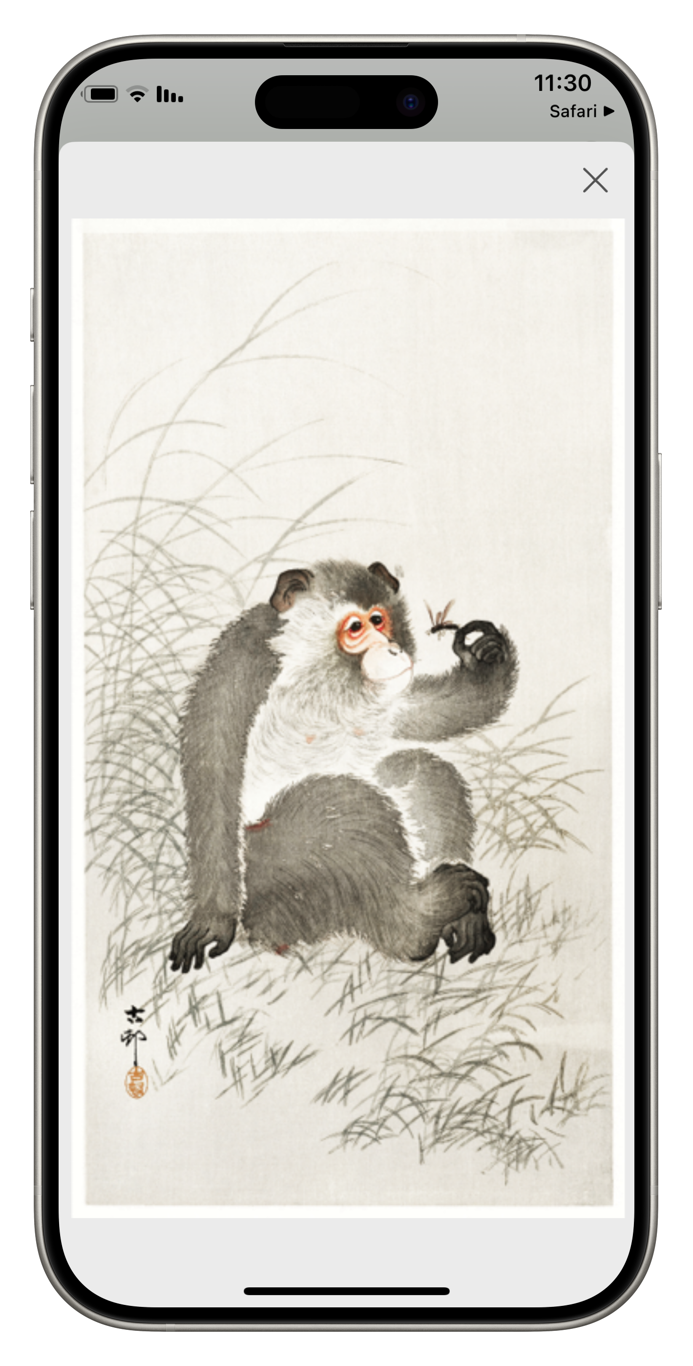 iFrameScreenshot - 5.2.2025, 11_31.PNG